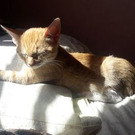 D e8fbdac2 c2ca 45b6 954e 5e474ec6258e