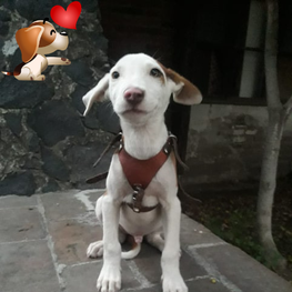 D 109c9424 6e98 4e05 b3cf 061fa56e8b40