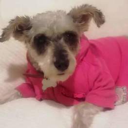 D cf3f8d2c b318 491d 80c4 c4276bade692