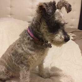 D 693e1bfa bd81 4b9e 8a1a 7145cd73f9f9