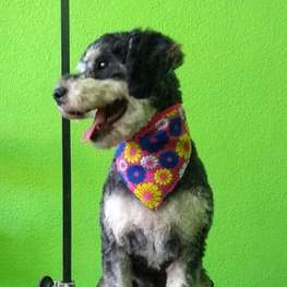 D 669c67fb 909d 45f0 8987 badcb824066c