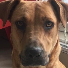 D ff428620 b6ed 45b8 9568 bb693c645026