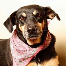 D ddc1310e de2f 4a48 b6d2 391267fb35d5