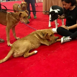 D 564890aa d6e8 4f5c 851f 995e0bf98fd9