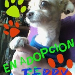 D 9d3252d2 ea21 49bc a00d 21c1bd6613c7