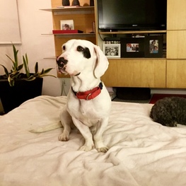 D 6aad2318 f4c3 4884 aa1c 8629f68a6d4d