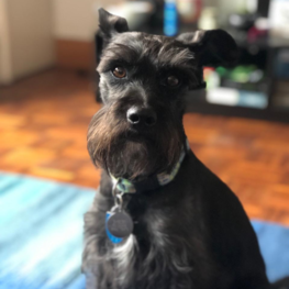 D 91d12607 7b35 4b94 ab58 722084973dd6