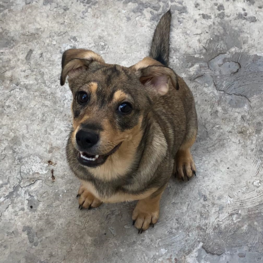 D 529c58ee 0e53 4edb 91ff b1c9c266b2bc