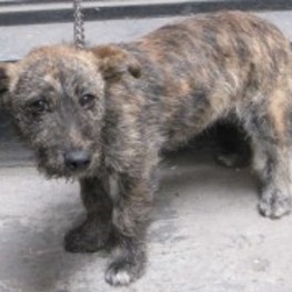 D 3f7768e1 3515 410f 91e1 c37c8914673d