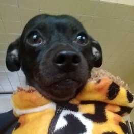 D a7d668be 9417 4485 b09a ffdbc5025d14