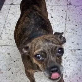 D 0fd58e8d ed35 4a4a 803e a3d4f91d9675