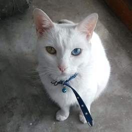 D c346b49a be04 421d 9152 e98606c02a15