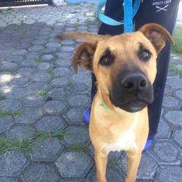 D a45efb8a 2d4b 4bab afc1 a80e78a0a817