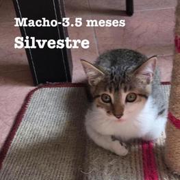 D a6947be1 de05 44e6 9ab7 24dbd893ac72