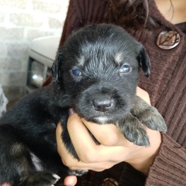 D 0675675d a7e8 4cb0 b7ea 069058740885