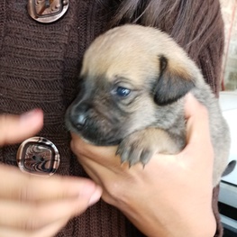 D c6741a51 7474 49b8 9ee5 5998d71204b9