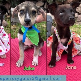 D cd74f9eb 1f29 42c9 be8f a7e3873dc55b