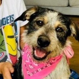 D 77a14821 3277 401d a234 b072d9d3757b