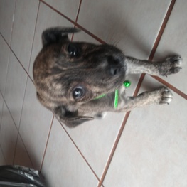 D 06de7da5 2057 4c9e 98ea 7da9d18ce155