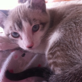 D ce978112 0f44 42c7 8367 81ed31ff9611