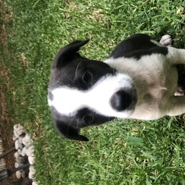 D 2dc72642 8760 4d9d 8f28 05181e9a40e7