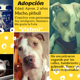 D 7dd608fd 8f3c 4570 a5b5 8aa1c7b8460e