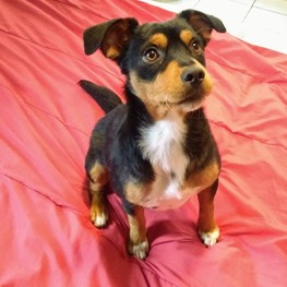 D 8929b818 42fa 453a 82dc 99200e5a8718