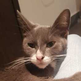 D 3a6a5766 dd0e 4b88 8c98 c22d6f0fb6c2