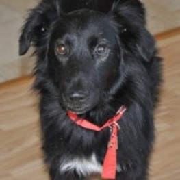 D d99e470e 3eed 48a7 828f ea6ff6b7f2f5