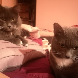 D c3e7c0ee 91a9 40b7 8a2f d77f1b10f6c9