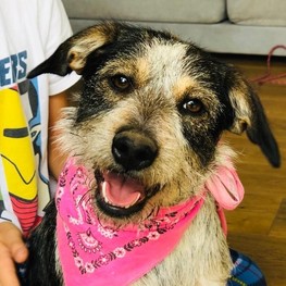 D 759ac95e 92ae 4e85 b44b e515c667c983