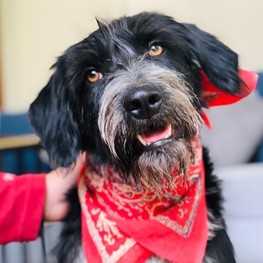 D 4b7ef7ee 0ec4 4cae 9ee0 5fceee337483