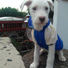 D 63c9be72 3b1c 4a37 9855 010ef6cc9b2d