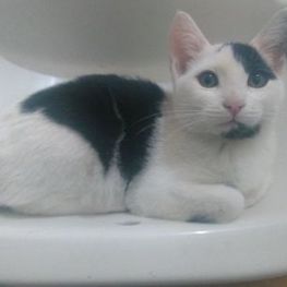 D 4528cd22 b11b 4aee bf18 039be0143847