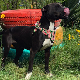 D 75e479e1 3930 4eef b9db 2ffdf21f40c5