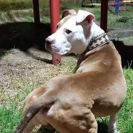 D 6c121486 d324 43a7 9571 ba6263d4c17f