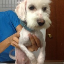 D ff6ecd03 3b79 4c94 9b0c ad1c3ac6c2e6