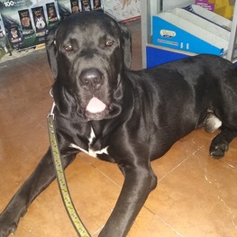 D 5b8c1ca7 395f 4895 bdc7 537a619725b9