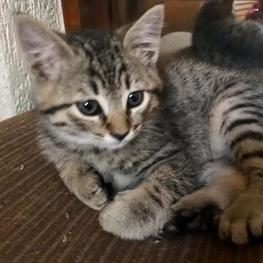 D a403ee05 33a4 4acb b2bd f8d890f5cff4