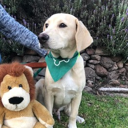 D 5ebcc7a4 9e5a 4bd0 8a8d b958ccb20bac