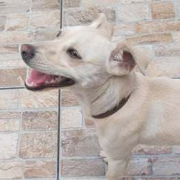 D db18971e 4427 4d59 ae0b 27733322ae2f