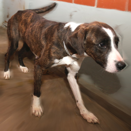 D 3822ad10 dbef 4b3e 9387 bb1044f47b38