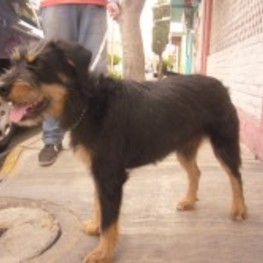 D 5c9bb129 d2a0 43bf a1fa b84bcc9533fe