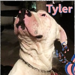 D 1b701a89 d443 4656 ba92 84fd8820d193