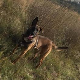 D 2db23de4 93be 4a8f b5f2 0c5c62c2b179