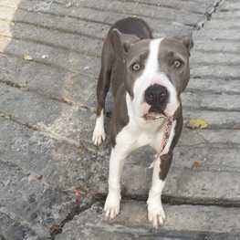 D 666d07df 191f 462c 9f90 b87ebfb68a9f