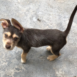 D 2ec89852 c6aa 4628 96e1 d26631244a51