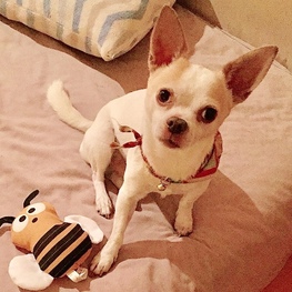 D 11b8d3bb d76c 4b2d 8c53 b68a4da1b343