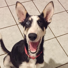 D 39bce8a2 b006 4821 b6a2 42b85eecc2ea