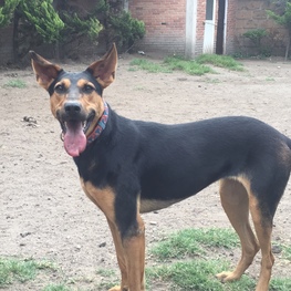 D f6882620 f780 4ba2 8537 91b9b8bf2cb5